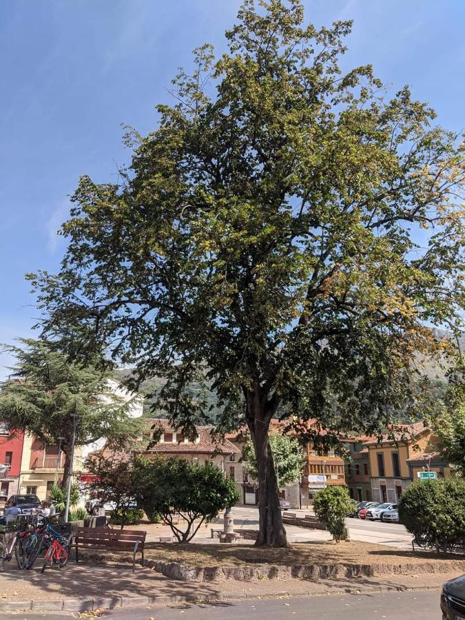 Hotel La Plaza Proaza Dış mekan fotoğraf